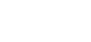 SES Partner Logo - Strategic Partnership with LFT