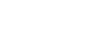 Starr Insurance Partner Logo - Strategic Partnership with LFT