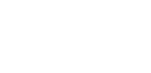 ZKW Partner Logo - Collaboration with LFT in Automotive Lighting